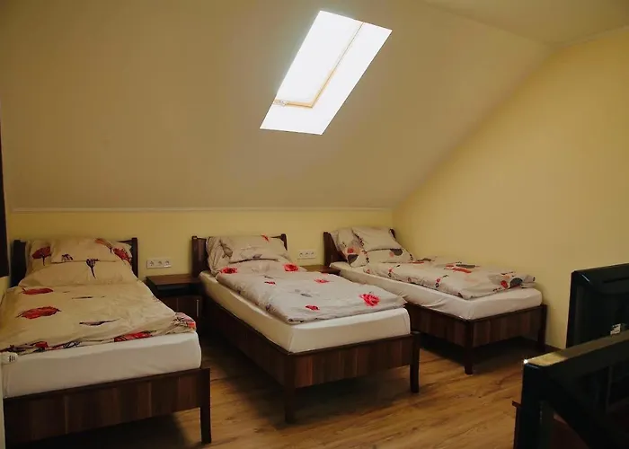 Viktor Vendeghaz Es Apartmanhaz